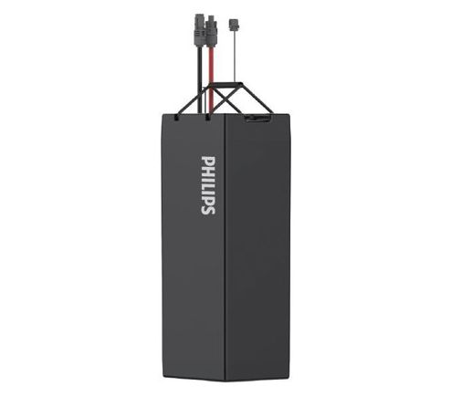 ZJS601 100AH 12.8V Battery