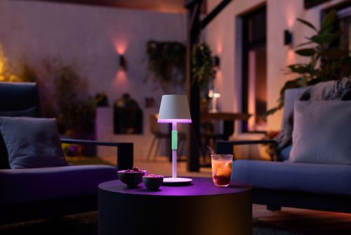 Phillips hue go lamp online