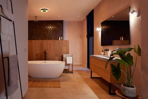 Philips hue on sale toilet light