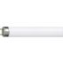 TL-D Super 80 Linear fluorescent tube