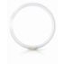 Master T5 T5 Circular fluorescent