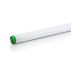 Tubular Fluorescent