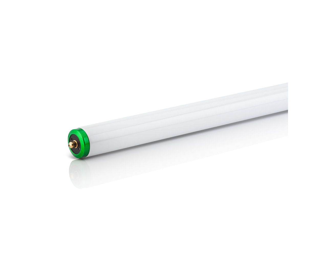 Energy savings and long life.