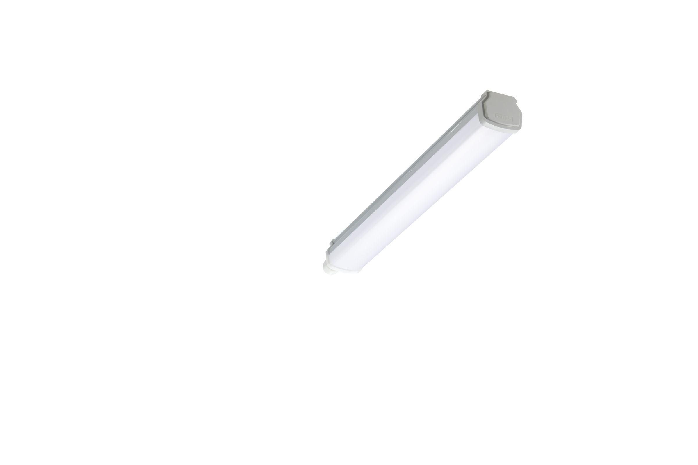WT060C LED18S/840 PSU L600 BN | 911401876480 | Philips lighting