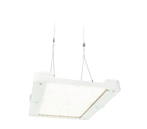BY481P LED250S/865 PSD WB GC SI