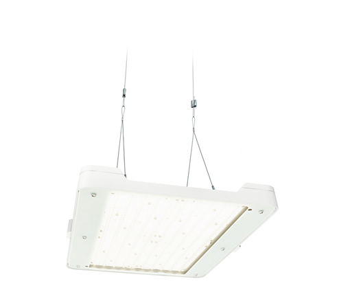 BY481P LED250S/840 PSD WB GC WH