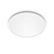 Functioneel Plafondlamp