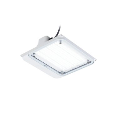 Philips hotsell canopy light