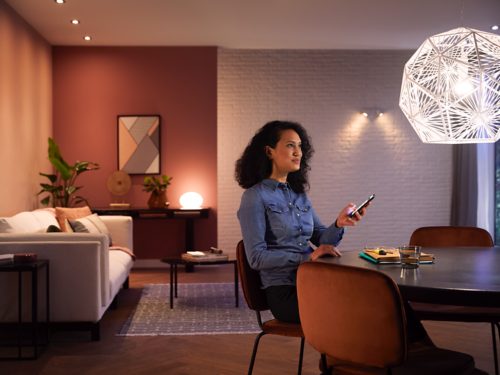 PHILIPS HUE Kit de démarrage White & Colors 2 ampoules avec pont de  connexion et télécommande variateur - 10 W - E27 - Cdiscount Bricolage