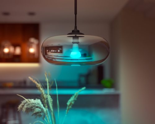 Philips Hue White, ampoule LED connectée E27 100W, 1600 lumen, compatible  Bluetooth, fonctionne avec Alexa, Google, Homekit