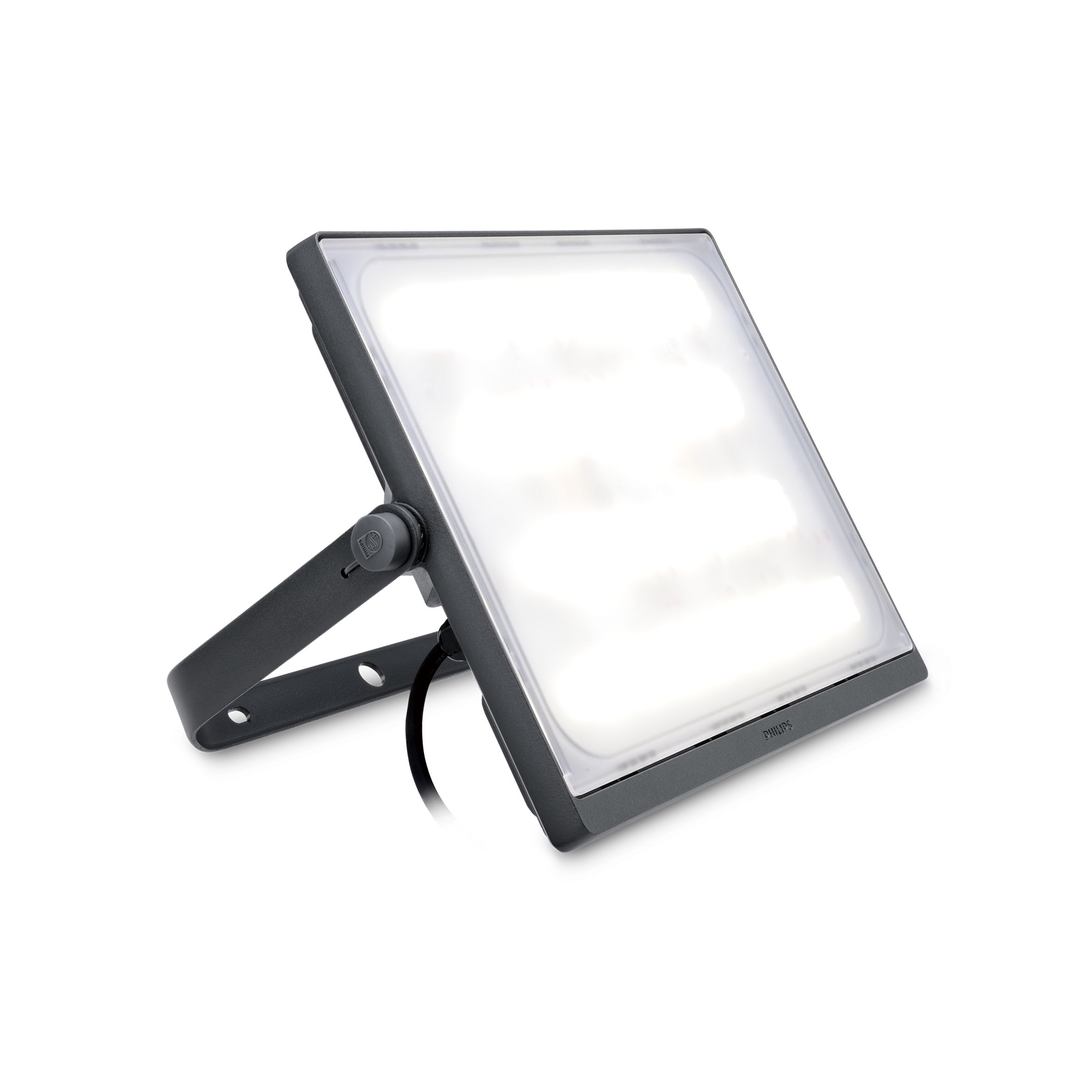 SmartBright LED Floodlight, BVP17X
