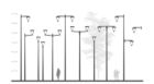ClassicStreet_Bracket-BSP.tif