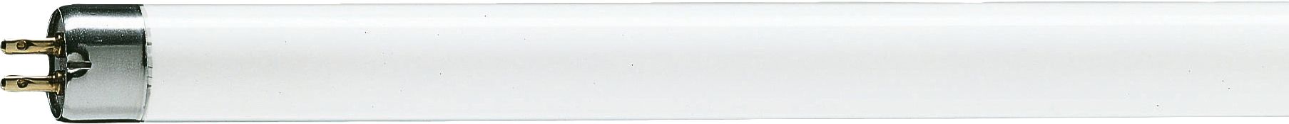 T5 Preheat
