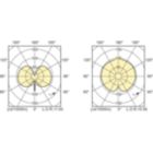 Light Distribution Diagram - MASTERC CDM-TC Elite 20W/830 G8.5 1CT/12
