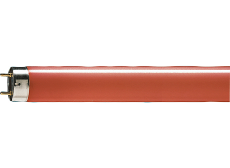 Philips TL-D Colored 18W 18W G13 E Rosso lampada fluorescente 