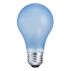 Agro Plant Light