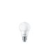 LED Bóng đèn