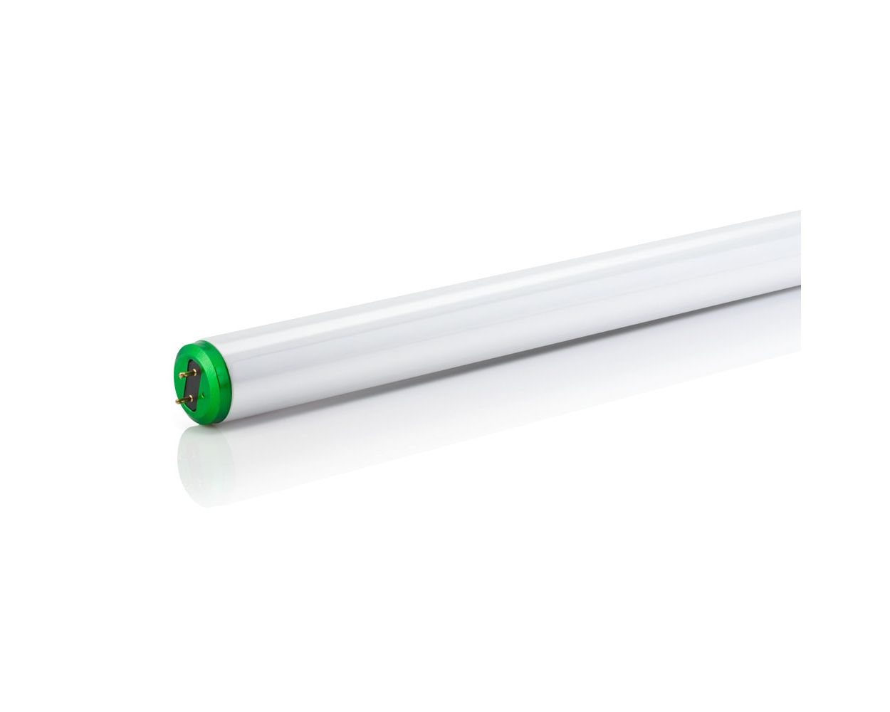 Energy savings and long life.
