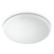 Philips (PHL) Plafondlampen Wawel plafondverlichting, 36 W