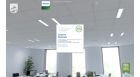 Office windows and desks