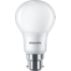 LED Bulb 55W A60S B22