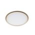 Functional Ceiling light