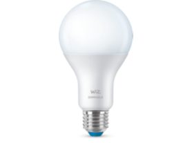 Bulb
