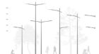FAMILY_SPLINE-BSP.TIF