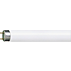 TL-D Standard colours Linear fluorescent tube