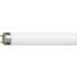 TL-D Standard colours Linear fluorescent tube
