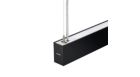 TrueLine Suspended black housing
