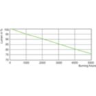 Lumen Maintenance Diagram - MASTER MHN-SA 1800W/956 (P)SFC 230V