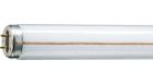 LPPR_TL-M-RS_G13-Product photo