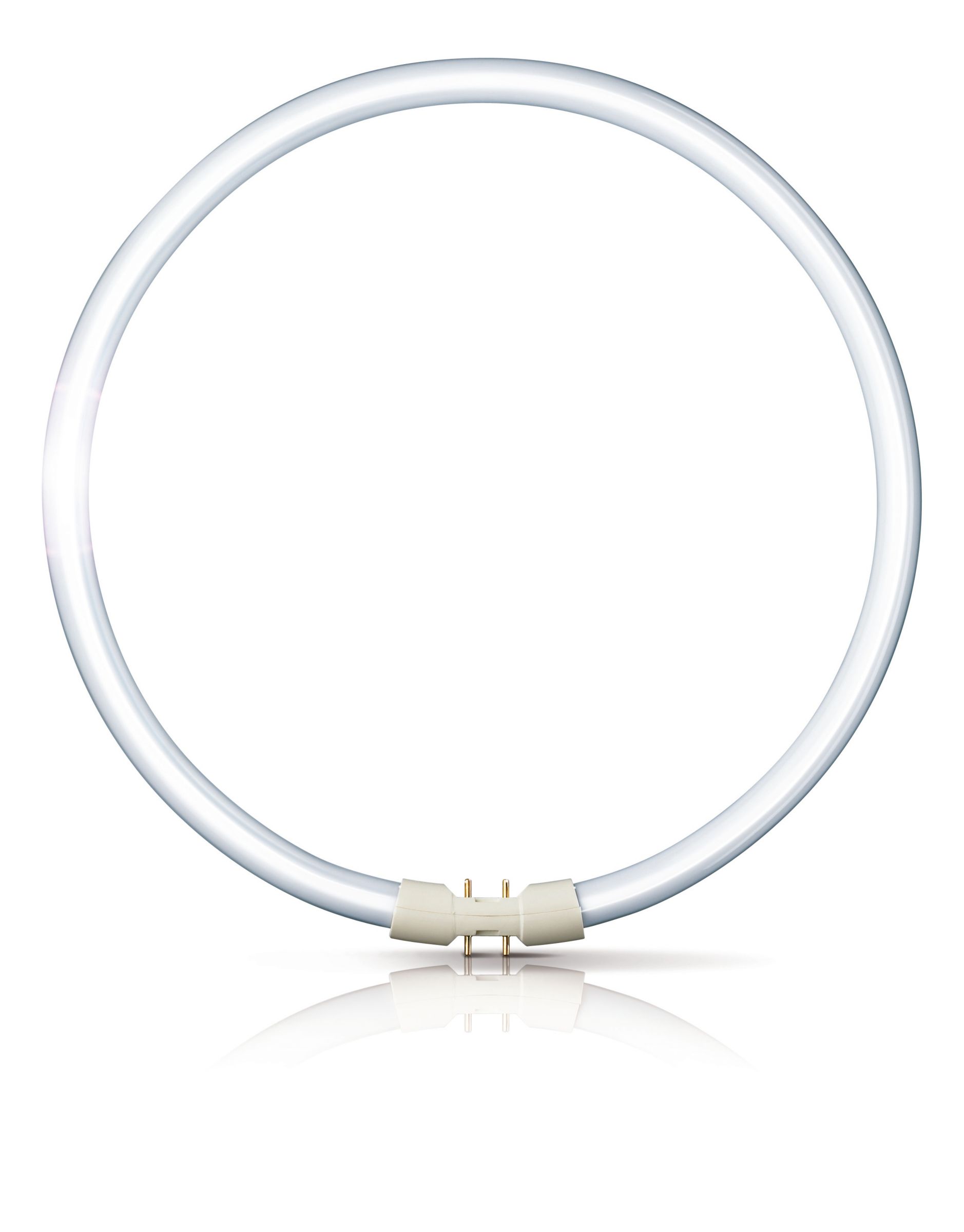 Pelmel Gedetailleerd Beukende MASTER TL5 Circular | TL5C8 | Philips lighting
