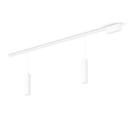 Close up of front of Perifo straight ceiling base kit (2 pendants)