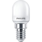 LED Kaarslamp en kogellamp