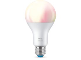 Bulb