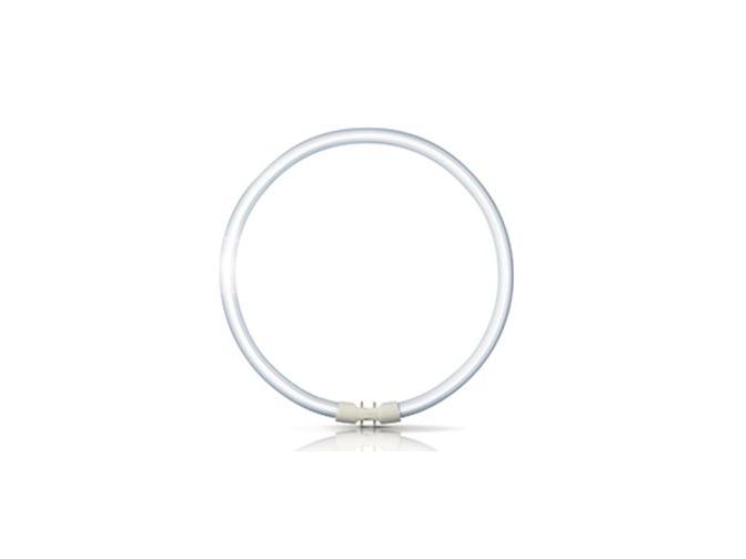 An image of product of the Master T5 Circular fluorescent Test Kirthi