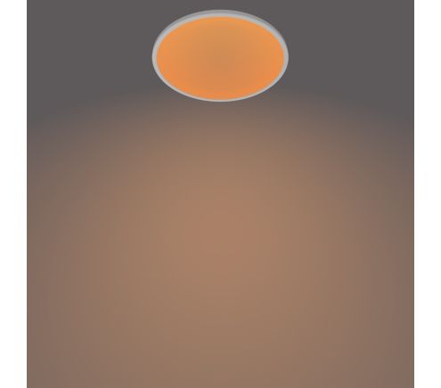 Funktional Deckenleuchte 8718699681012 | PHILIPS