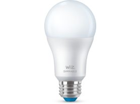 Bulb