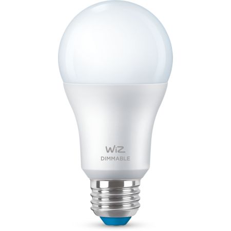 Bulb Bulb
