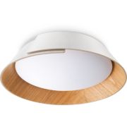 myLiving Ceiling light