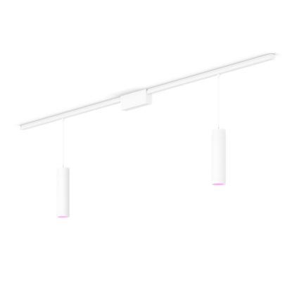 Close up of front of Perifo straight ceiling base kit (2 pendants)
