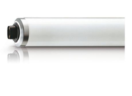 TL 100W/01 SLV/10