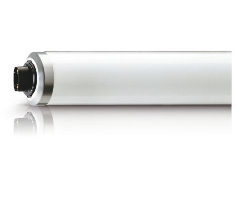 TL 100W/01 SLV/10