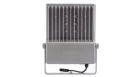 Coreline_tempo_large-BVP130-DP03.tif