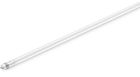 CorePro LED tube Universal T8