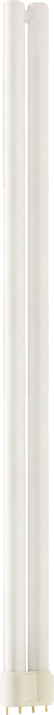 PL-L Long 4-Pin Base