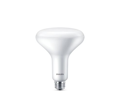 Brouwerij Emuleren Gelijk LED Bulb (Dimmable) 046677554354 | Philips