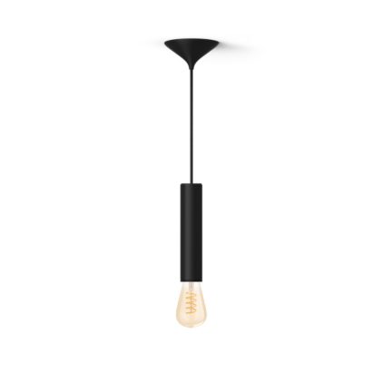 Close-up van de voorkant van Bundel: Zwarte Large pendellamp koord - 3D geprint voor filamentlampen + Warm tot koelwit licht ST72 Edison filamentlamp